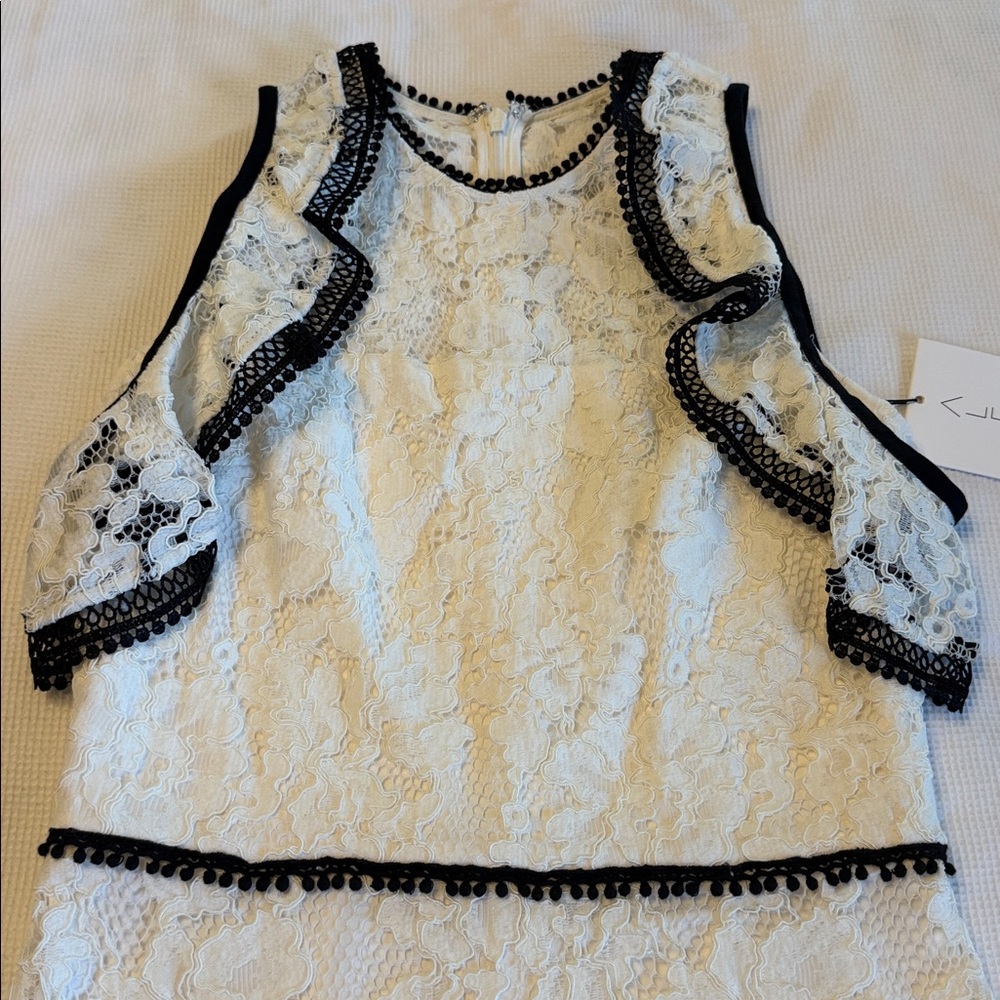 Alexis Evie Lace Dress Size XS Black White NWT - Picture 5 of 14